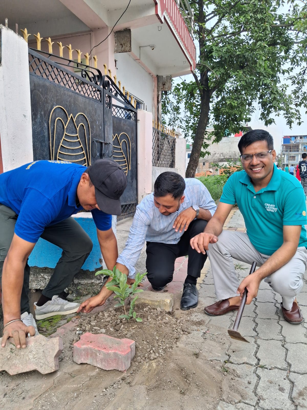 Tree Plantation (Green Initiative)